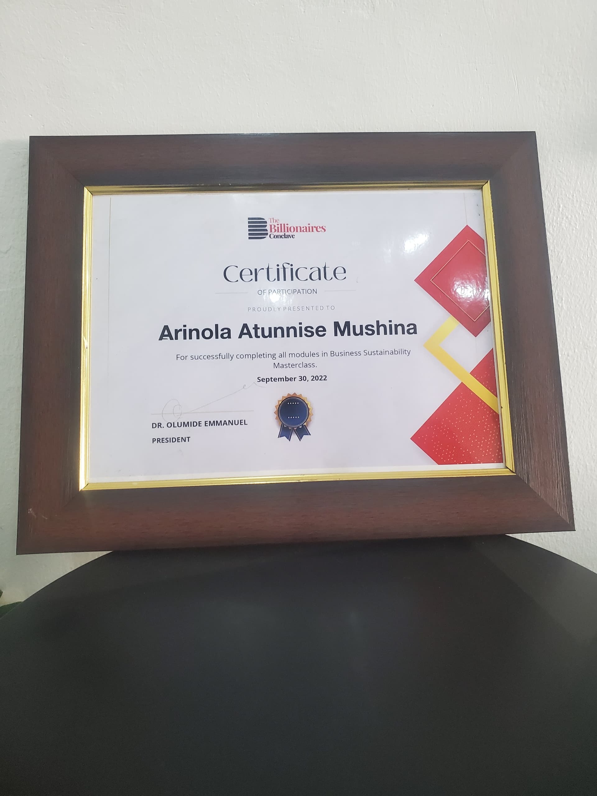 imgi_24_The-Billionaire-enclave-certificate-Business-sustanibility-masterclass